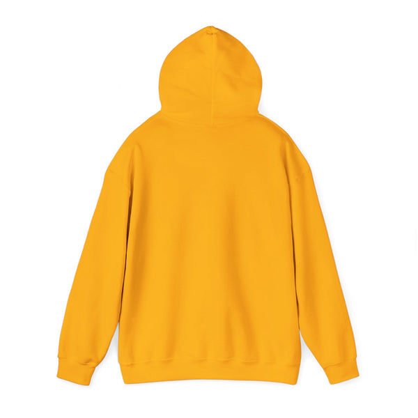 Einstein Cartoon E=MC2 Adult Unisex Graphic Hoodie