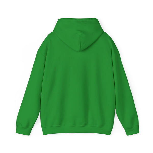 Einstein Cartoon E=MC2 Adult Unisex Graphic Hoodie