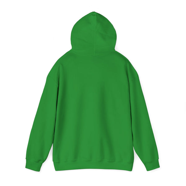 Einstein Cartoon E=MC2 Adult Unisex Graphic Hoodie