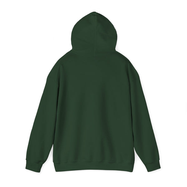 Einstein Cartoon E=MC2 Adult Unisex Graphic Hoodie