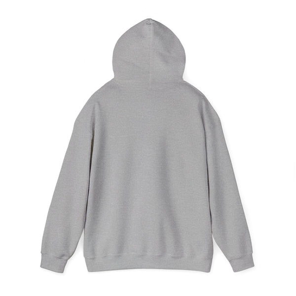 This Is How I Roll Light Blue D20 Die Unisex Graphic Hoodie