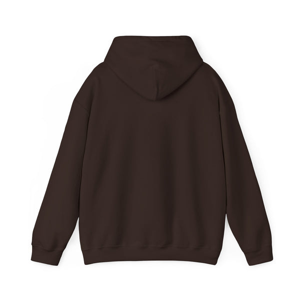 Einstein Cartoon E=MC2 Adult Unisex Graphic Hoodie