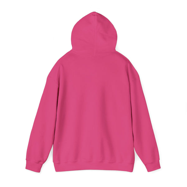 Einstein Cartoon E=MC2 Adult Unisex Graphic Hoodie
