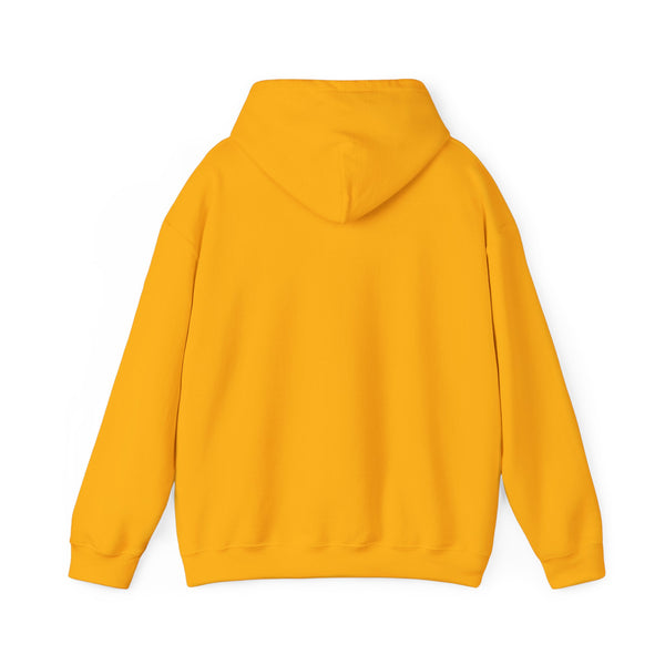 Einstein Cartoon E=MC2 Adult Unisex Graphic Hoodie