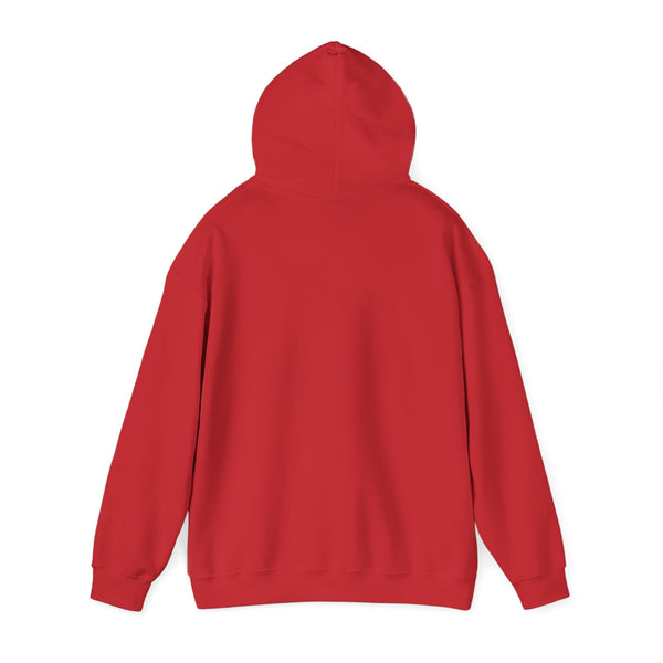 Einstein Cartoon E=MC2 Adult Unisex Graphic Hoodie