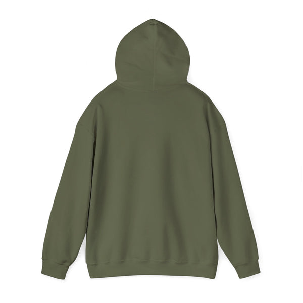 Einstein Cartoon E=MC2 Adult Unisex Graphic Hoodie