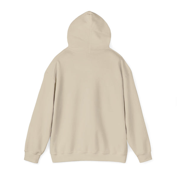 Einstein Cartoon E=MC2 Adult Unisex Graphic Hoodie