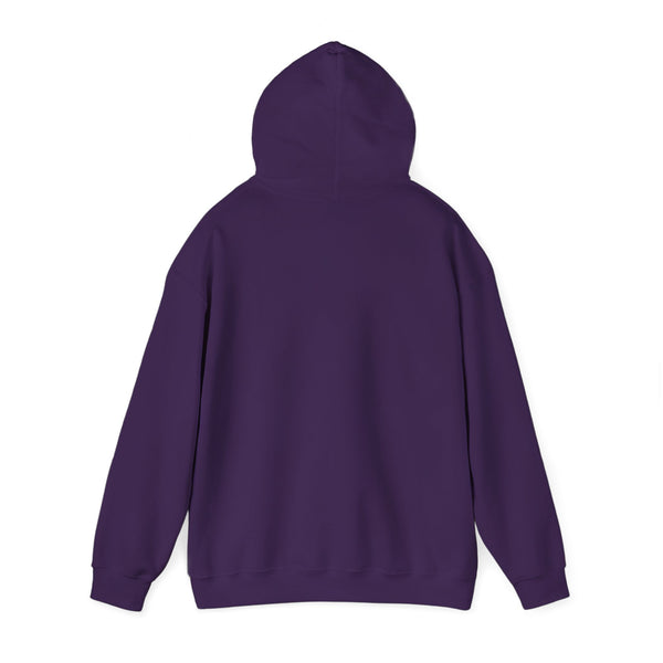 Einstein Cartoon E=MC2 Adult Unisex Graphic Hoodie