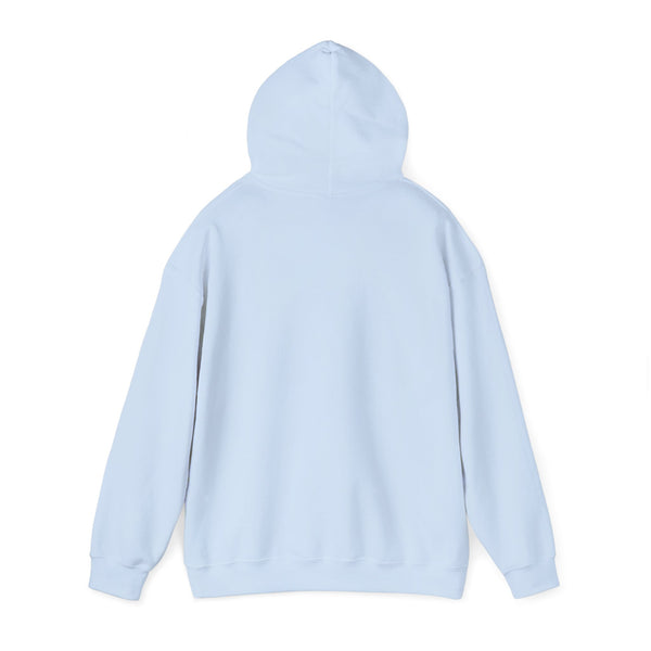 This Is How I Roll Light Blue D20 Die Unisex Graphic Hoodie