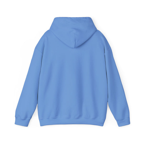 Einstein Cartoon E=MC2 Adult Unisex Graphic Hoodie