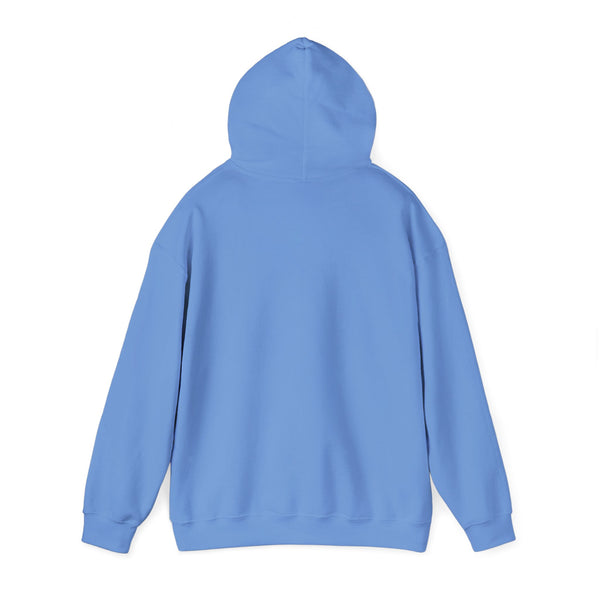 Einstein Cartoon E=MC2 Adult Unisex Graphic Hoodie