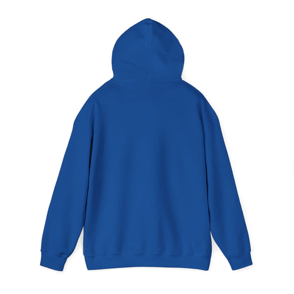 Einstein Cartoon E=MC2 Adult Unisex Graphic Hoodie