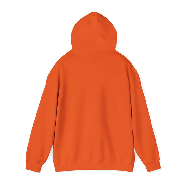 Einstein Cartoon E=MC2 Adult Unisex Graphic Hoodie