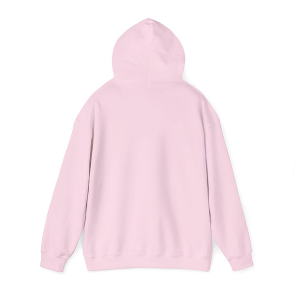 Einstein Cartoon E=MC2 Adult Unisex Graphic Hoodie