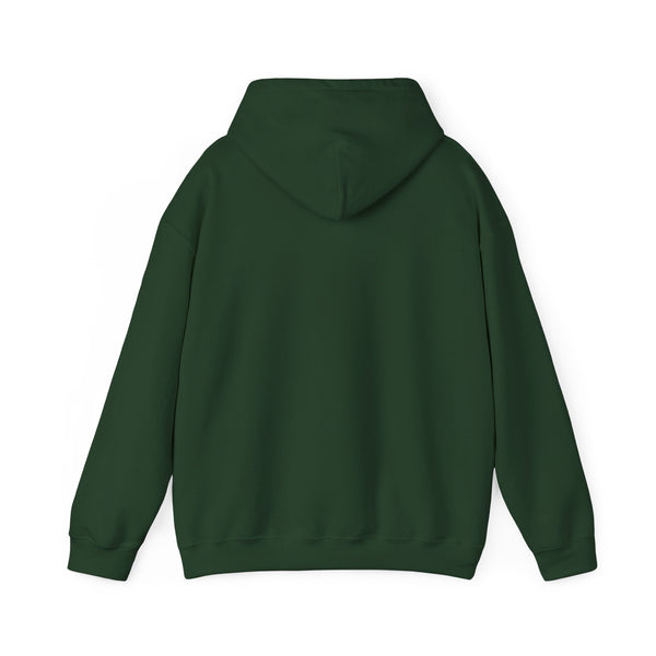 Einstein Cartoon E=MC2 Adult Unisex Graphic Hoodie