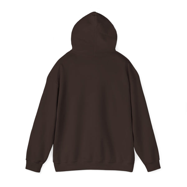 Einstein Cartoon E=MC2 Adult Unisex Graphic Hoodie